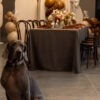 Krzesła bistro (drewniane) - obrazek 23